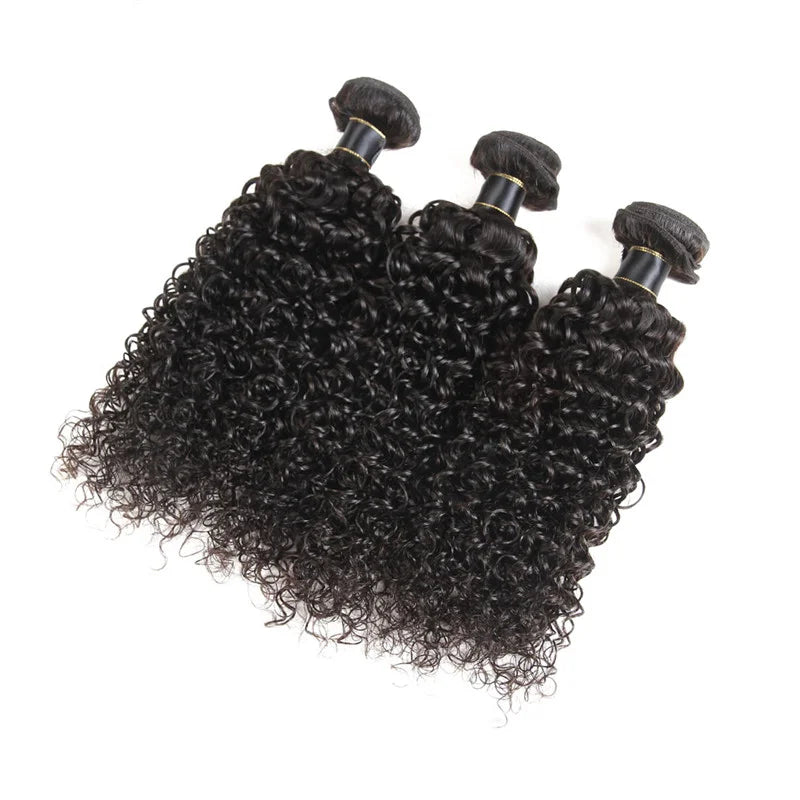 Hd Lace Front Wigs for Black Women Vendors Burmese Curly Hair Extensions Glueless Wig Human Hair
